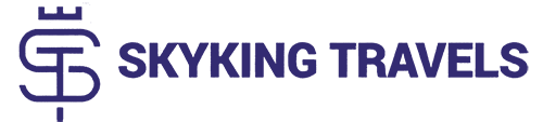 skykingtravels logo
